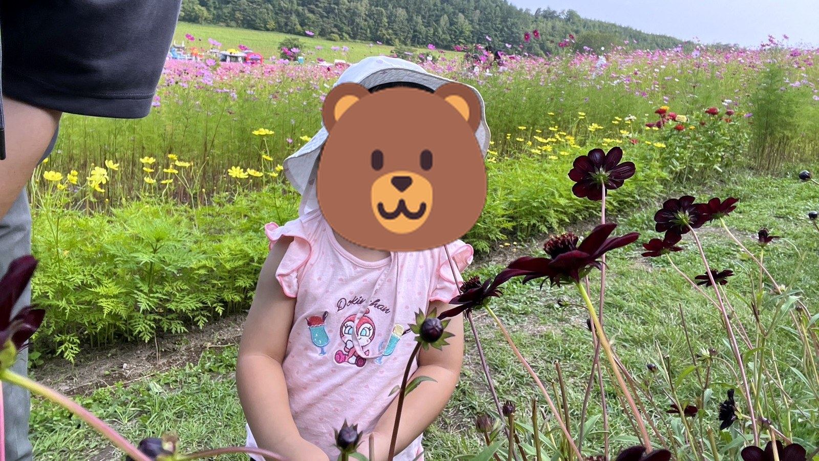 花畑で花の匂いをかぐ小さな女の子