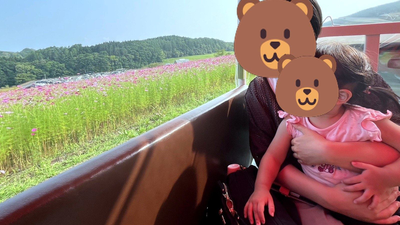 乗り物から花畑を眺める親子