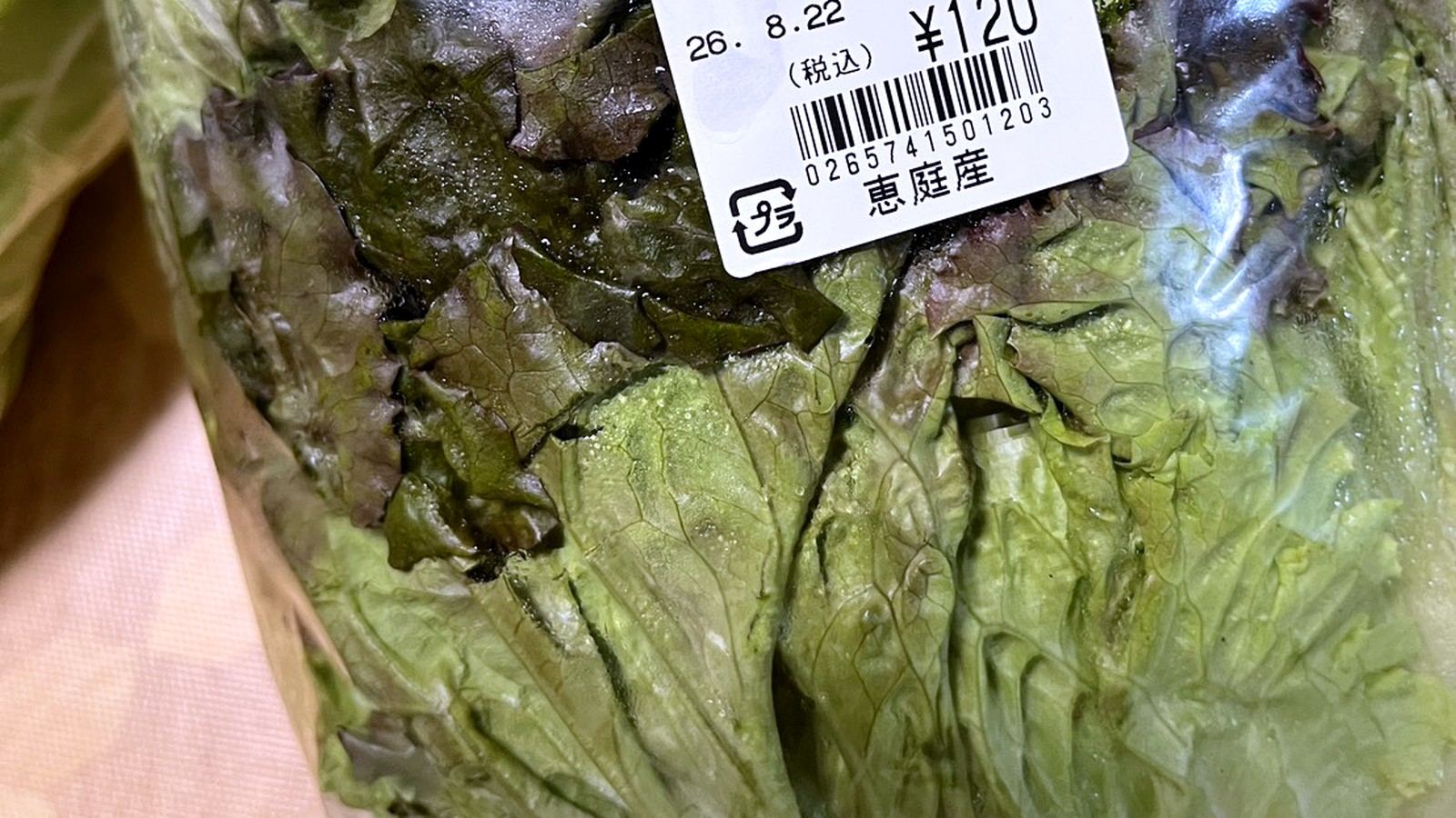袋に入った恵庭産のサニーレタス