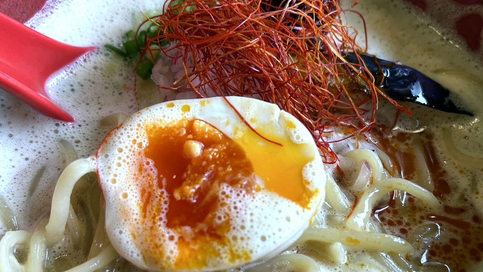 泡系スープに煮玉子が乗ったラーメン