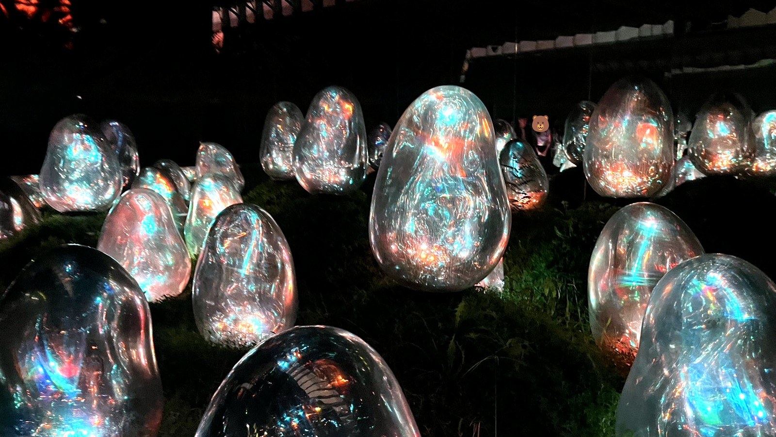 夜の屋外に並ぶ光り輝く卵形のアートオブジェ
